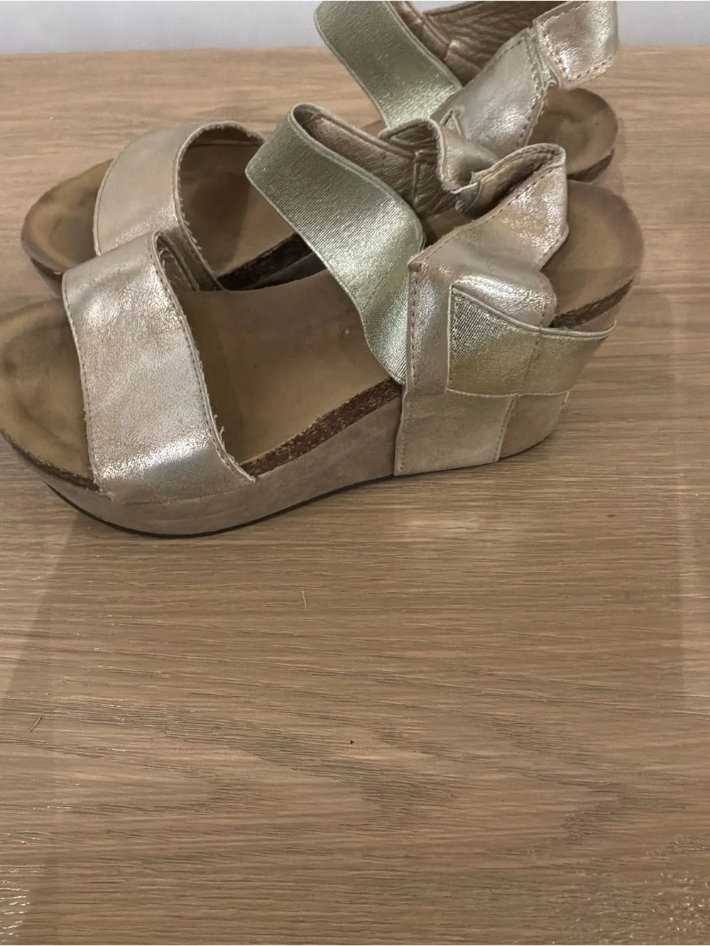 Pierre Dumas Metallic Gold Wedge Sandals